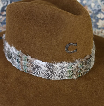 Feather Hat Band 1