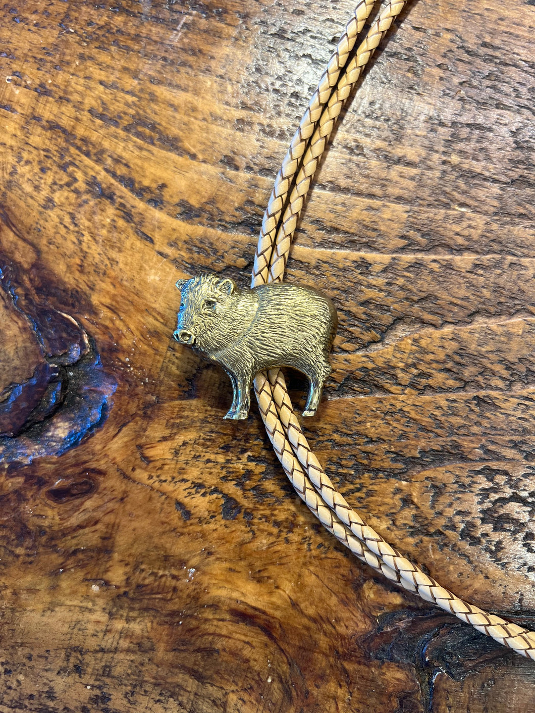 Javelina Bolo Tie