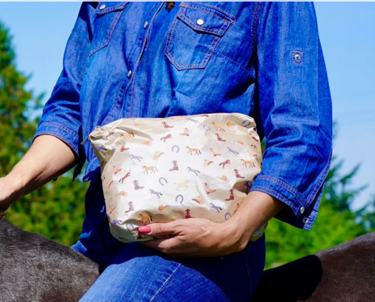 Western Equestrian on Shimmer Beige-  Medium Zipper Pouch