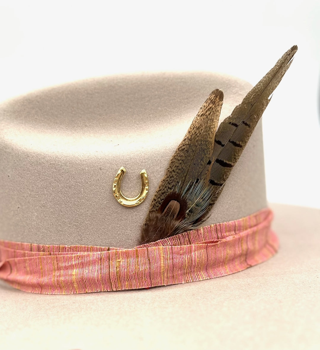 The Horseshoe for SIRE